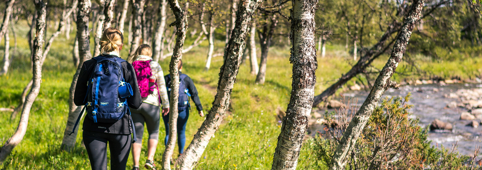 Hiker next to the river Ljusnan