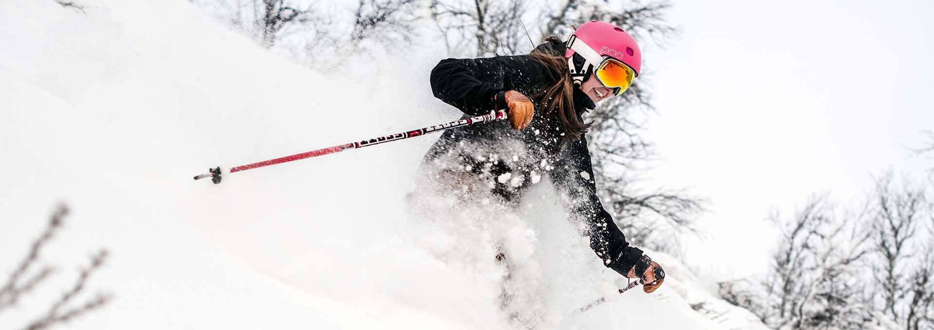 powder snow skiing