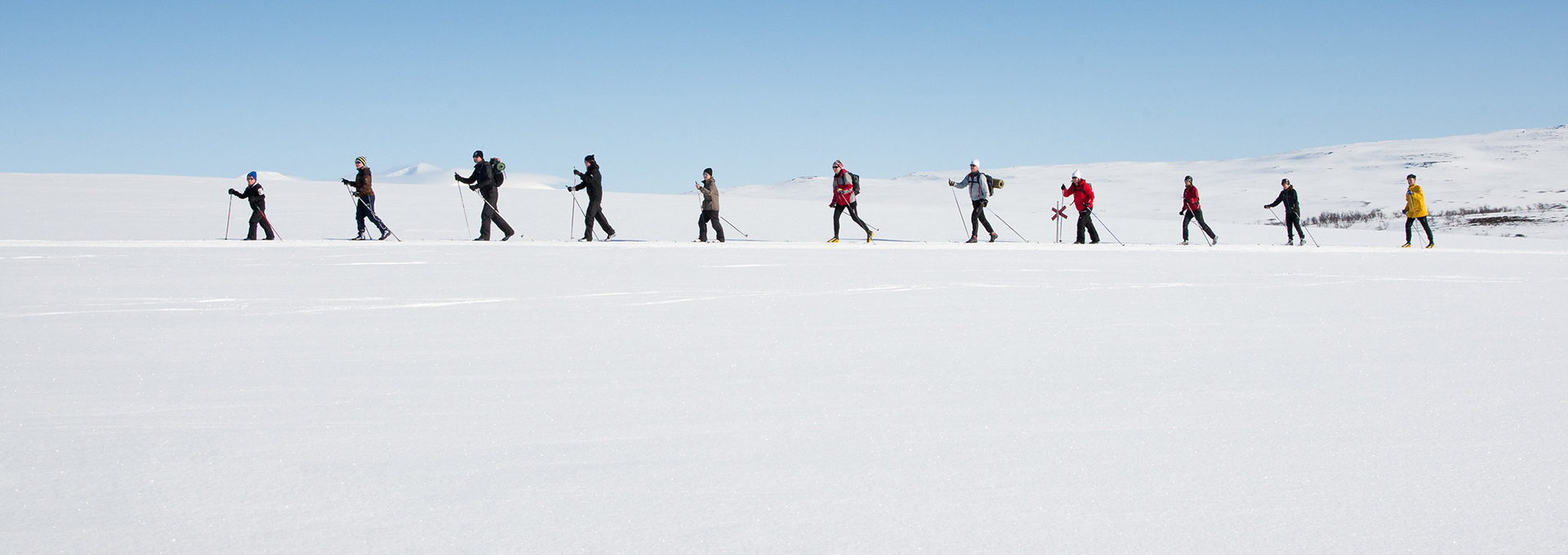 Grupp som åker längdskidor på fjället