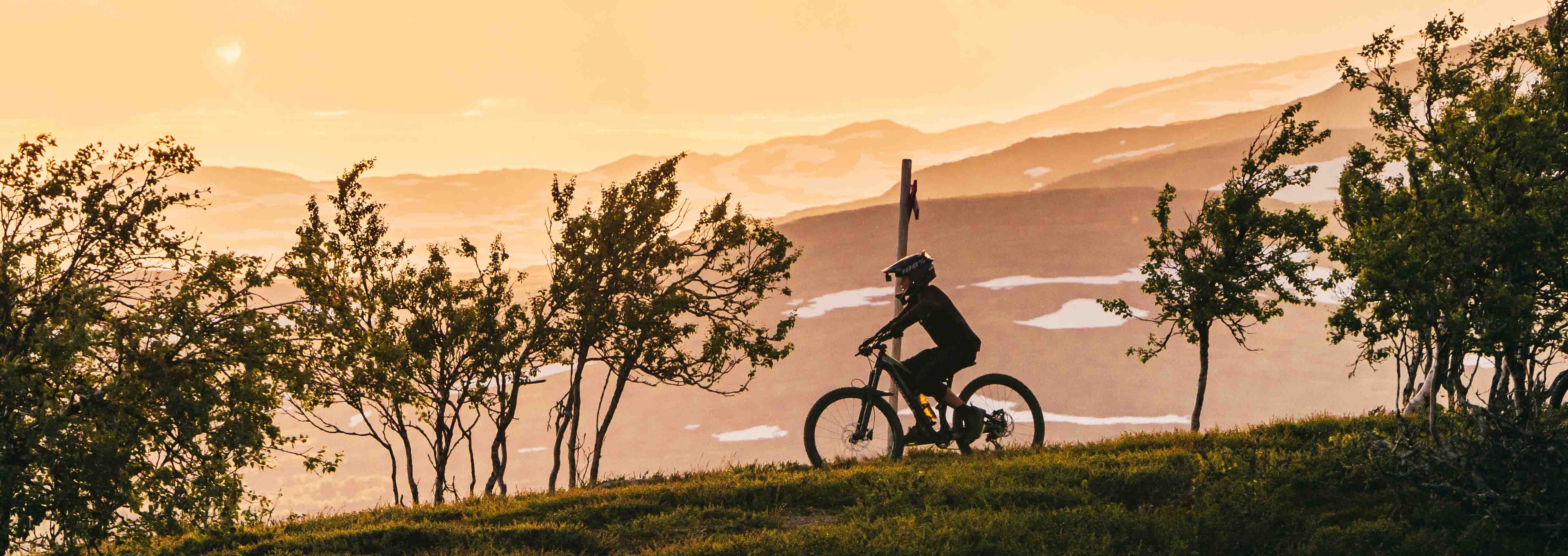 Cyklist på fjällstig i solnedgång, omgiven av fjällbjörkar och snöfläckiga berg i bakgrunden.