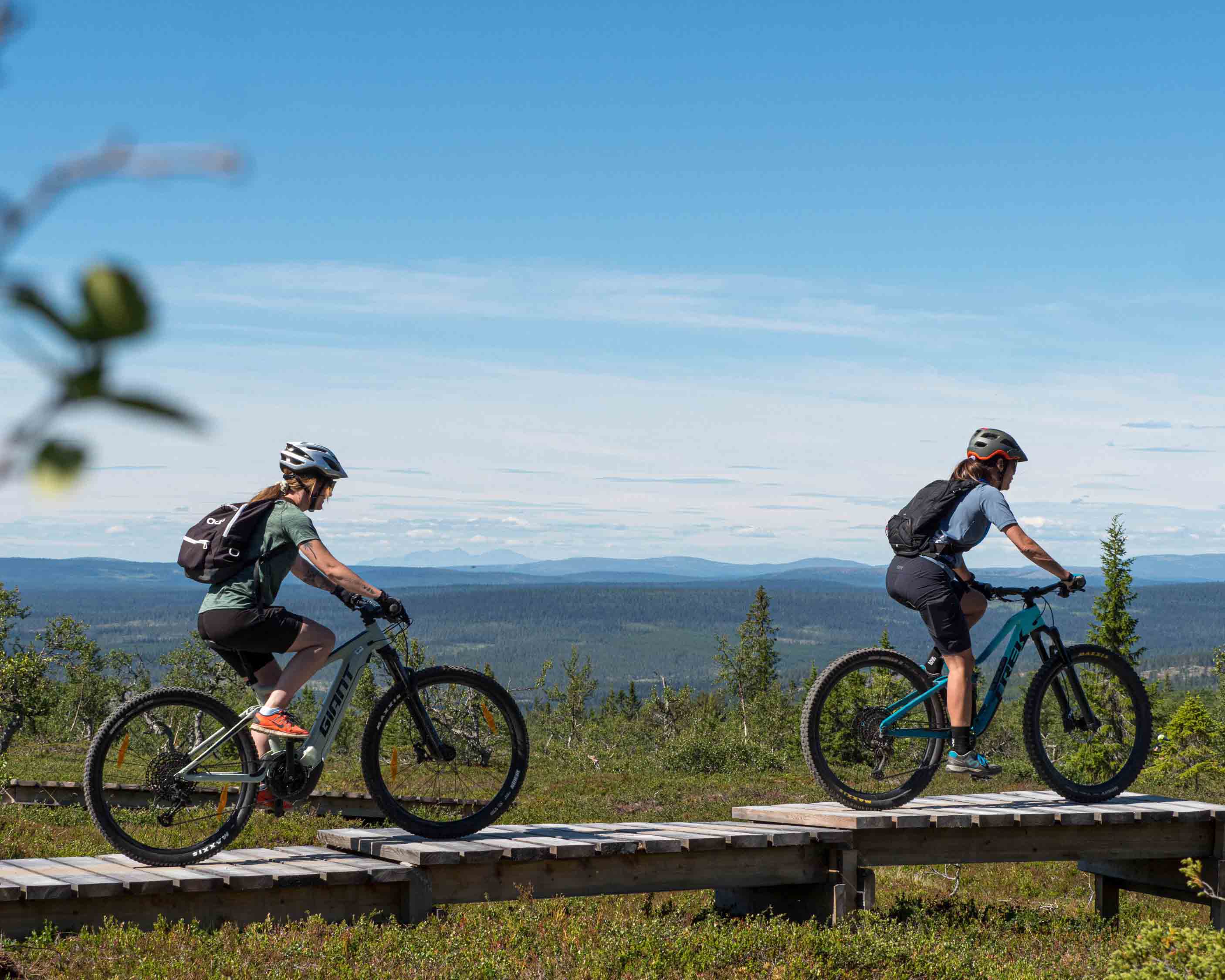 WEBB-Fjällpark MTB_Emma EdejernP7120152_low.jpg