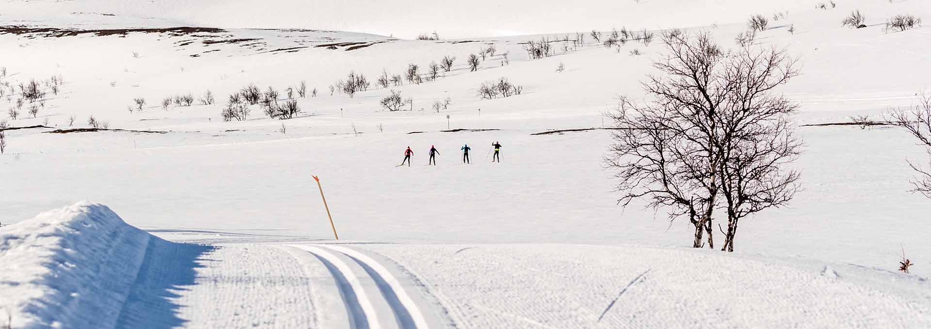 Skier skate style at the mountain in Ramundberget