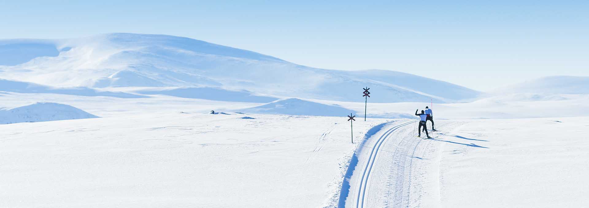 Cross-country skiers on the mountain